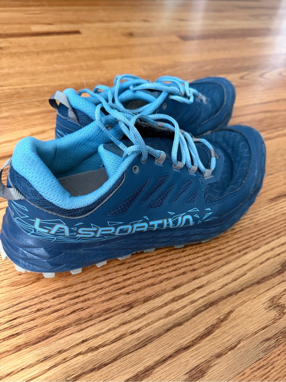 La Sportiva Blue and Light Blue Trail Sneakers